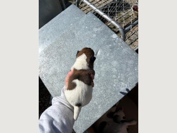 Image 1 of 10