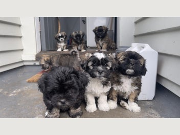 Image 1 of 20