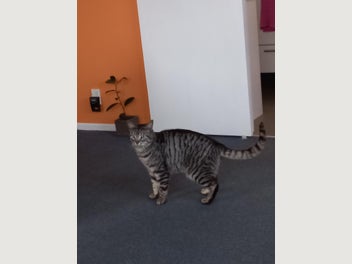 Image 1 of 3