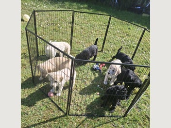 Image 1 of 15