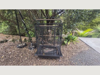 Image 1 of 6