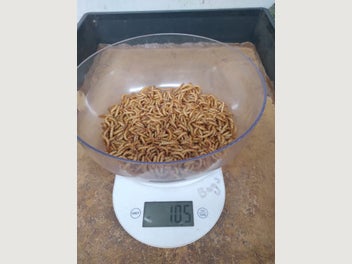 Image 1 of 1