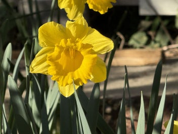 Image 1 of 9