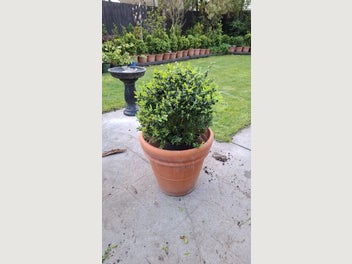 Image 1 of 8