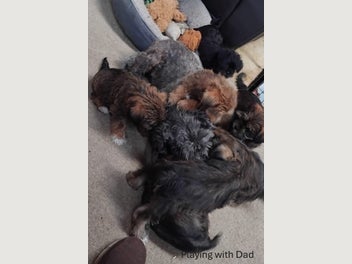 Image 1 of 15