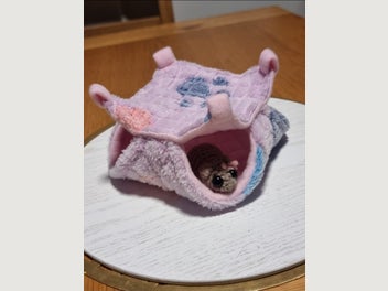 Image 1 of 19