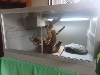 Image 1 of 12