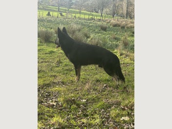 Image 1 of 11