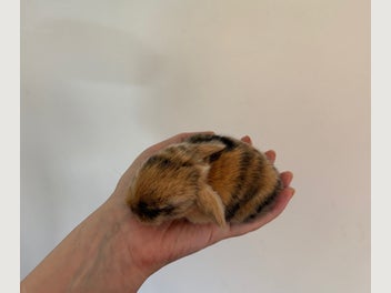Image 1 of 8