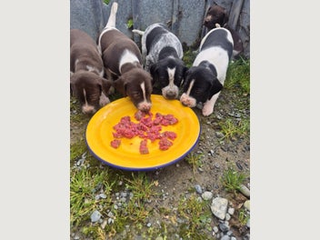 Image 1 of 4