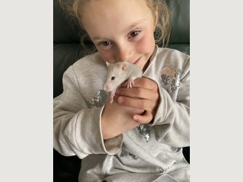 Image 1 of 8