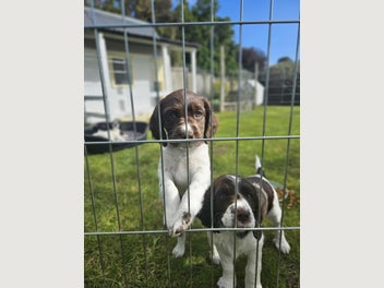 Image 1 of 11