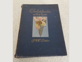 Image 1 of 20