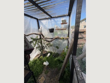 Image 1 of 15