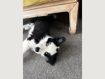 Image 1 of 12