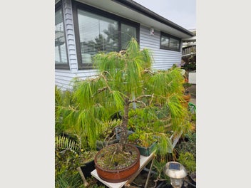 Image 1 of 8