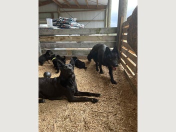 Image 1 of 14