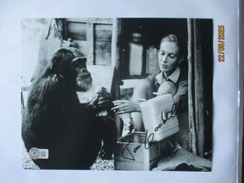 Image 1 of 11