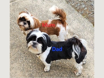 Image 1 of 8