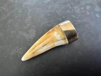 Image 1 of 6