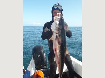 Image 1 of 15
