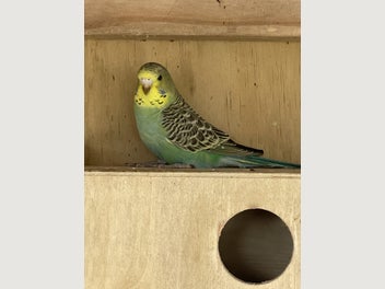 Image 1 of 3