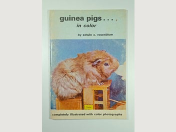 Image 1 of 9