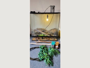Image 1 of 7