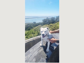 Image 1 of 8