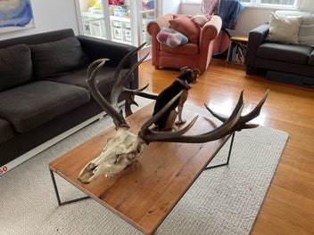 Image 1 of 8
