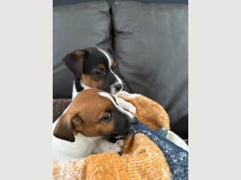 Image 1 of 17