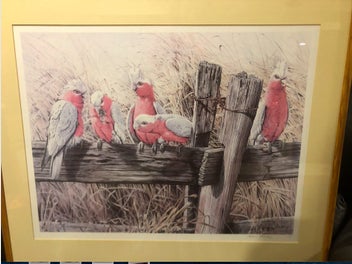 Image 1 of 4
