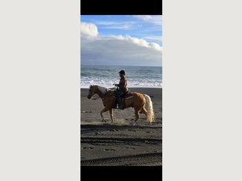 Image 1 of 9