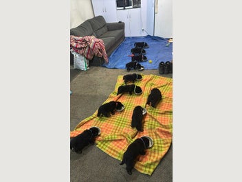 Image 1 of 12
