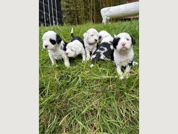 Image 1 of 11