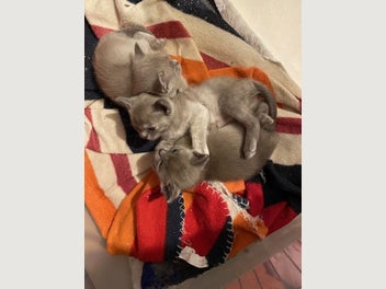 Image 1 of 8