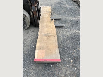 Image 1 of 17