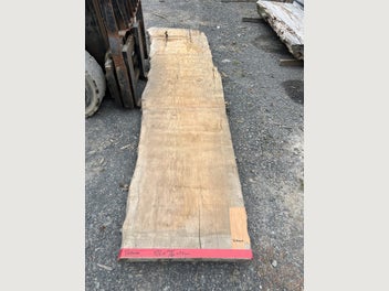 Image 1 of 18