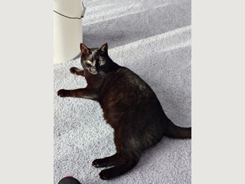 Image 1 of 5
