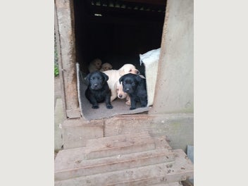 Image 1 of 18