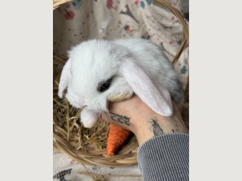 Image 1 of 20