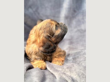 Image 1 of 10