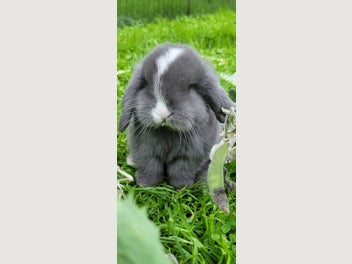 Image 1 of 11