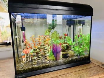 Image 1 of 5