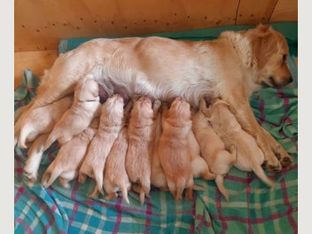 Image 1 of 16