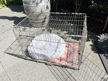 Image 1 of 5