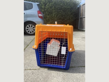 Image 1 of 4