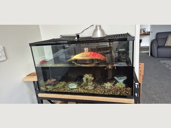 Image 1 of 8