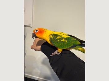 Image 1 of 3