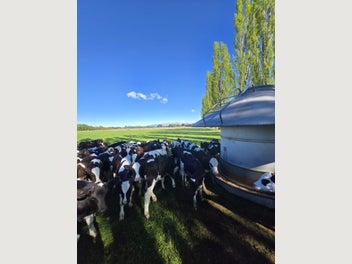 Image 1 of 5